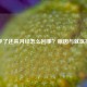 怀孕了还来月经怎么回事？原因与就医指南