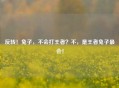 反转！兔子，不会打王者？不，是王者兔子最会！