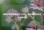 揭秘王者荣耀英雄手上白光，特效背后的战术与心理作用