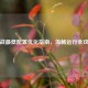 逆战更低配置优化指南，流畅运行全攻略