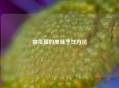 南瓜藤的美味烹饪     