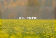 PUBG，快保护我！
