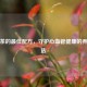 丹参茶的更佳配方，守护心血管健康的养生之选
