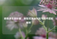 绝地求生国际服，拖鞋党潮流兴起与战术搭配解析