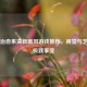 Steam治愈系清新画风游戏推荐，视觉与艺术的极致享受