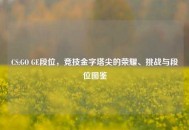 CS:GO GE段位，竞技金字塔尖的荣耀、挑战与段位图鉴