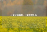 秋落城硝烟漫，CF落雪寄乡愁