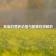 草鱼的营养价值与健康功效解析