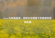 Steam与网易星球，游戏生态碰撞下的邀请码获取机遇