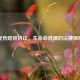 受伤赔偿协议，生命必修课的法律保障
