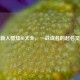 逆战新人酷炫ID大全，一战成名的起名灵感库