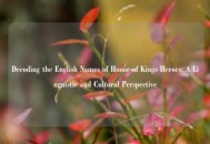 Decoding the English Names of Honor of Kings Heroes: A Linguistic and Cultural Perspective
