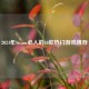 2024年Steam必入的10款热门游戏推荐