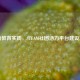 创新教育实践，STEAM社团活力平台建设方案