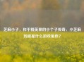 芝麻小子，和平精英里的小个子传奇，小芝麻到底是什么游戏角色？