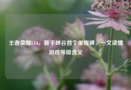 王者荣耀LV6，新手峡谷首个里程碑，一文读懂游戏等级含义