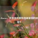 Steam Borrow，共享游戏库如何革新你的游戏体验？