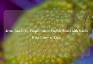 Arena Lovebirds: Unique Couple English Names with Symbols for Honor of Kings