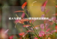 枪火与***，CS:GO赛场高燃混剪瞬间