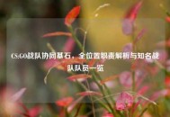CS:GO战队协同基石，全位置职责解析与知名战队队员一览