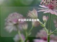 小说阅读渠道指南