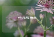 小说阅读渠道指南