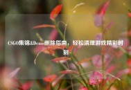 CSGO集锦&Demo删除指南，轻松清理游戏精彩时刻