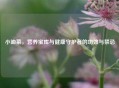 小油菜，营养宝库与健康守护者的功效与禁忌