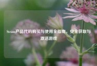 Steam产品代码购买与使用全指南，安全获取与激活游戏