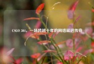 CSGO 304，一场跨越十年的网络延迟传奇