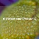 科学清除老年斑的5种有效     