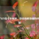 CSGO飞行指令全解析，自由探索地图的终极秘籍