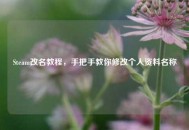 Steam改名教程，手把手教你修改个人资料名称