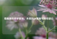 毒圈里的停驶载具，未竟的决赛圈与掉线疑云