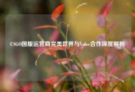 CSGO国服运营商完美世界与Valve合作深度解析