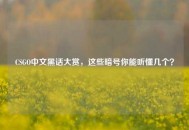 CSGO中文黑话大赏，这些暗号你能听懂几个？