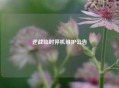 逆战临时停机维护公告