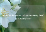 Steam Wood: The Timeless Craft and Contemporary Uses of Steam-Bending Timber