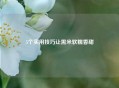 5个实用技巧让黑米软糯香甜
