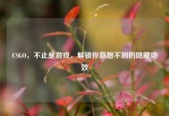 CSGO，不止是游戏，解锁你意想不到的隐藏功效