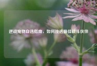 逆战宠物自选指南，如何挑选更佳战斗伙伴