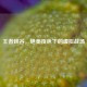 王者峡谷，绝美夜色下的虚拟战场