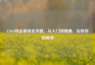 CSGO饰品查询全攻略，从入门到精通，玩转你的库存