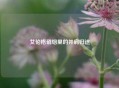 艾伦格硝烟里的并肩归途