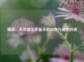 薄荷，天然清凉多面手的功效与泡水妙用