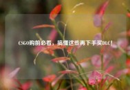 CSGO购前必看，搞懂这些再下手买DLC！