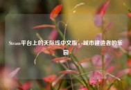 Steam平台上的天际线中文版，城市建造者的乐园