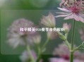 和平精英SS20赛季年份解析