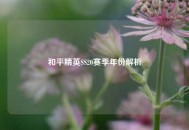 和平精英SS20赛季年份解析