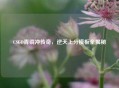 CSGO青铜冲传奇，逆天上分模板全揭秘